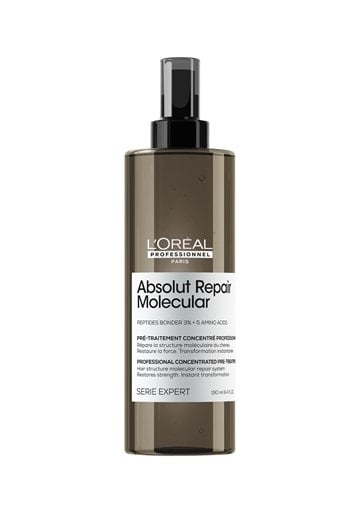 Absolut Repair Molecular Pre Shampoo Treatment spray for damaged hair